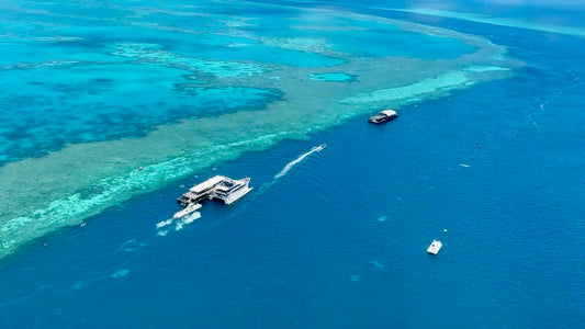 Exploring the Great Barrier Reef