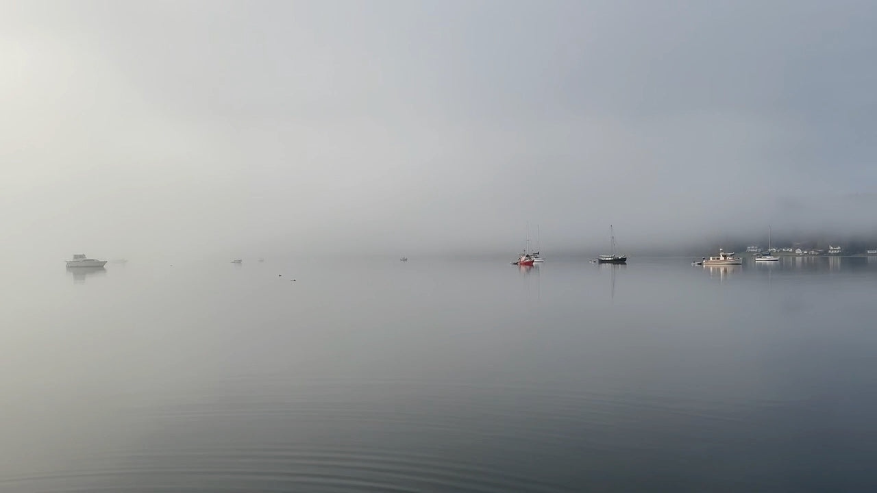 Grey day at Liberty Bay, Poulsbo, WA